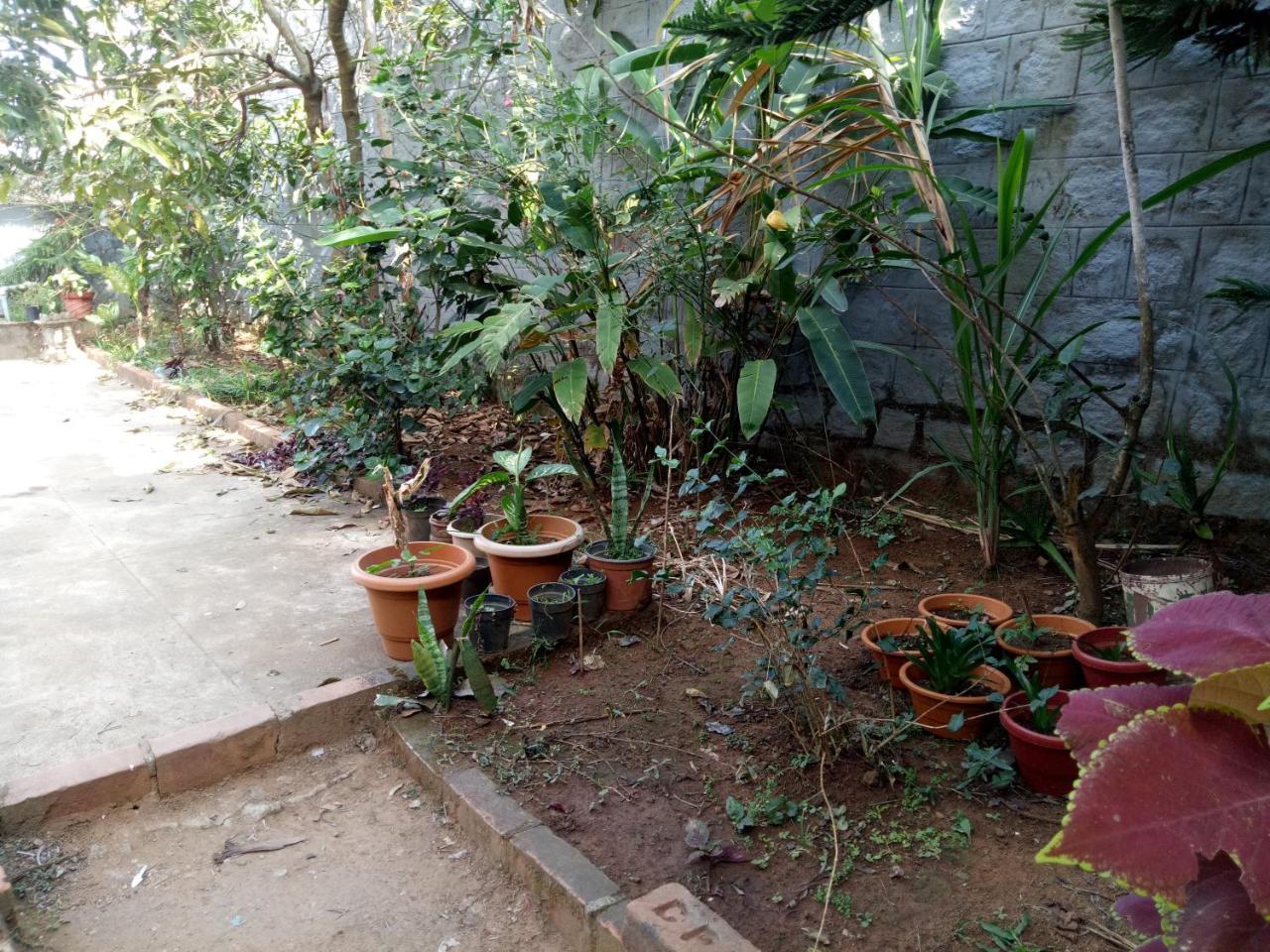 Coorg Villas มาดิเครี ภายนอก รูปภาพ